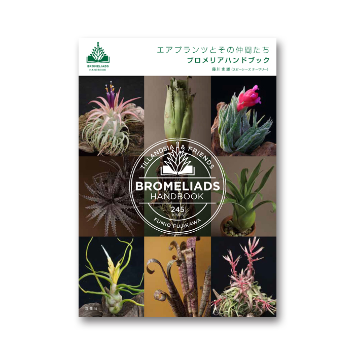 HB_Bromeliads_cover